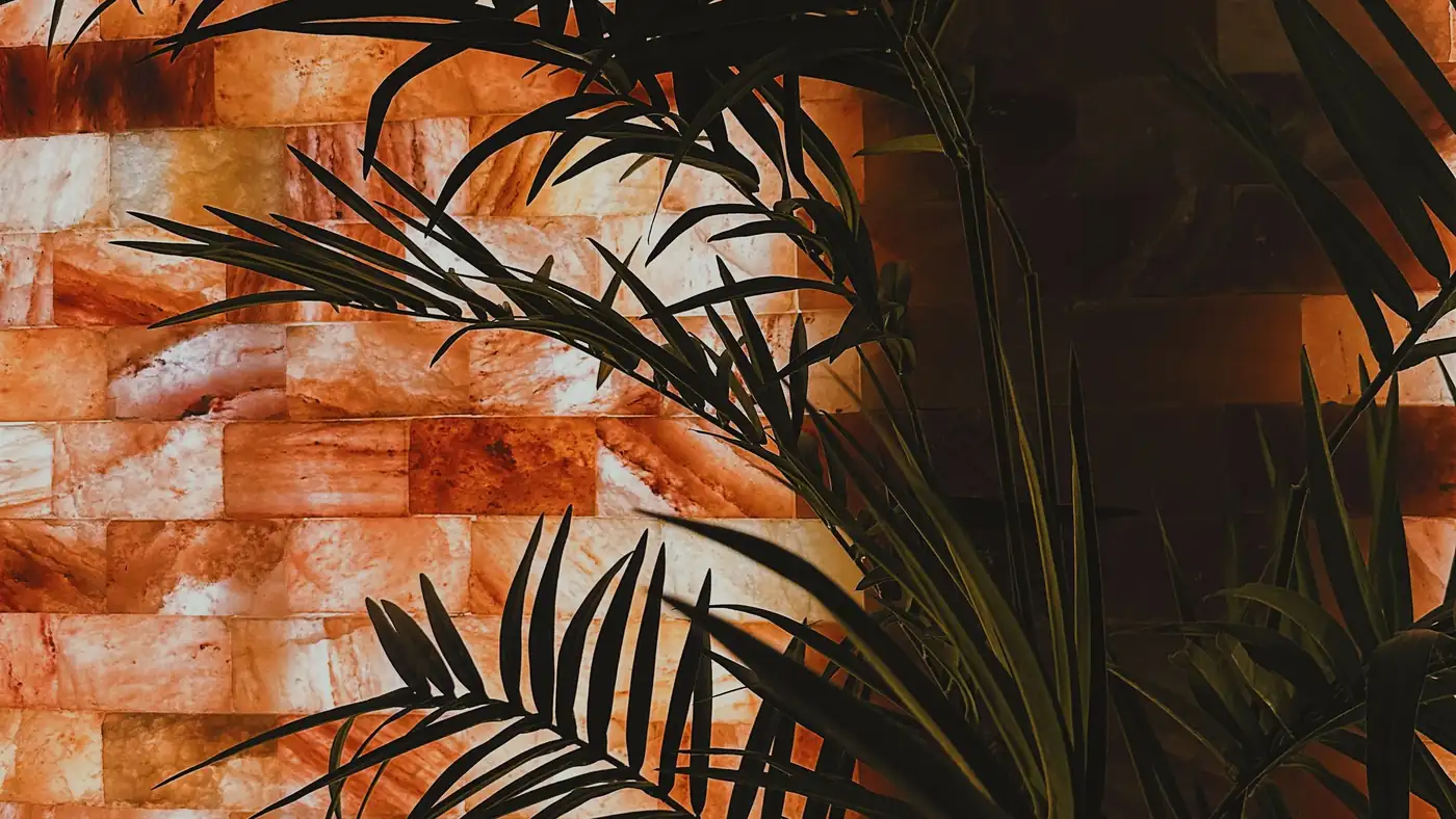 Backlit Himalayan salt bricks glowing amber behind palm fronds.